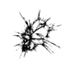 seqclust/clustering/clusters/dir_CL0013/CL13_tmb.png