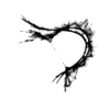 seqclust/clustering/clusters/dir_CL0016/CL16_tmb.png