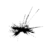 seqclust/clustering/clusters/dir_CL0017/CL17_tmb.png
