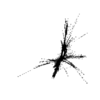 seqclust/clustering/clusters/dir_CL0018/CL18_tmb.png