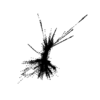 seqclust/clustering/clusters/dir_CL0019/CL19_tmb.png
