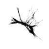 seqclust/clustering/clusters/dir_CL0020/CL20_tmb.png