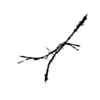 seqclust/clustering/clusters/dir_CL0021/CL21_tmb.png