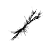 seqclust/clustering/clusters/dir_CL0024/CL24_tmb.png