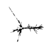 seqclust/clustering/clusters/dir_CL0028/CL28_tmb.png