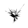 seqclust/clustering/clusters/dir_CL0029/CL29_tmb.png