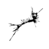 seqclust/clustering/clusters/dir_CL0034/CL34_tmb.png