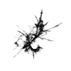 seqclust/clustering/clusters/dir_CL0036/CL36_tmb.png