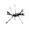 seqclust/clustering/clusters/dir_CL0037/CL37_tmb.png