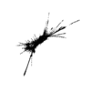 seqclust/clustering/clusters/dir_CL0039/CL39_tmb.png