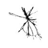 seqclust/clustering/clusters/dir_CL0040/CL40_tmb.png