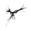 seqclust/clustering/clusters/dir_CL0041/CL41_tmb.png