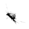 seqclust/clustering/clusters/dir_CL0048/CL48_tmb.png
