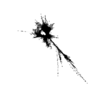 seqclust/clustering/clusters/dir_CL0049/CL49_tmb.png