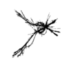 seqclust/clustering/clusters/dir_CL0053/CL53_tmb.png