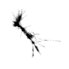 seqclust/clustering/clusters/dir_CL0057/CL57_tmb.png