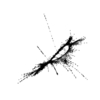 seqclust/clustering/clusters/dir_CL0058/CL58_tmb.png