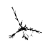 seqclust/clustering/clusters/dir_CL0060/CL60_tmb.png
