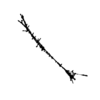 seqclust/clustering/clusters/dir_CL0062/CL62_tmb.png