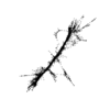 seqclust/clustering/clusters/dir_CL0063/CL63_tmb.png