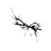 seqclust/clustering/clusters/dir_CL0065/CL65_tmb.png