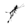 seqclust/clustering/clusters/dir_CL0068/CL68_tmb.png