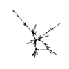 seqclust/clustering/clusters/dir_CL0071/CL71_tmb.png