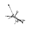seqclust/clustering/clusters/dir_CL0074/CL74_tmb.png