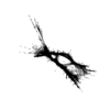 seqclust/clustering/clusters/dir_CL0076/CL76_tmb.png
