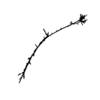 seqclust/clustering/clusters/dir_CL0077/CL77_tmb.png