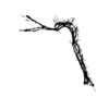 seqclust/clustering/clusters/dir_CL0079/CL79_tmb.png