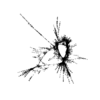 seqclust/clustering/clusters/dir_CL0080/CL80_tmb.png