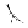 seqclust/clustering/clusters/dir_CL0081/CL81_tmb.png