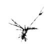 seqclust/clustering/clusters/dir_CL0082/CL82_tmb.png