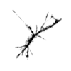 seqclust/clustering/clusters/dir_CL0085/CL85_tmb.png