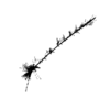 seqclust/clustering/clusters/dir_CL0086/CL86_tmb.png