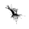 seqclust/clustering/clusters/dir_CL0087/CL87_tmb.png