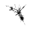 seqclust/clustering/clusters/dir_CL0088/CL88_tmb.png