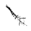 seqclust/clustering/clusters/dir_CL0089/CL89_tmb.png