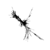seqclust/clustering/clusters/dir_CL0090/CL90_tmb.png