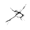seqclust/clustering/clusters/dir_CL0091/CL91_tmb.png