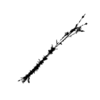 seqclust/clustering/clusters/dir_CL0092/CL92_tmb.png