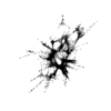 seqclust/clustering/clusters/dir_CL0093/CL93_tmb.png