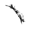 seqclust/clustering/clusters/dir_CL0094/CL94_tmb.png