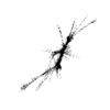 seqclust/clustering/clusters/dir_CL0095/CL95_tmb.png