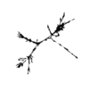 seqclust/clustering/clusters/dir_CL0096/CL96_tmb.png