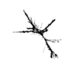 seqclust/clustering/clusters/dir_CL0102/CL102_tmb.png