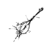 seqclust/clustering/clusters/dir_CL0103/CL103_tmb.png