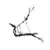 seqclust/clustering/clusters/dir_CL0104/CL104_tmb.png