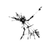 seqclust/clustering/clusters/dir_CL0105/CL105_tmb.png
